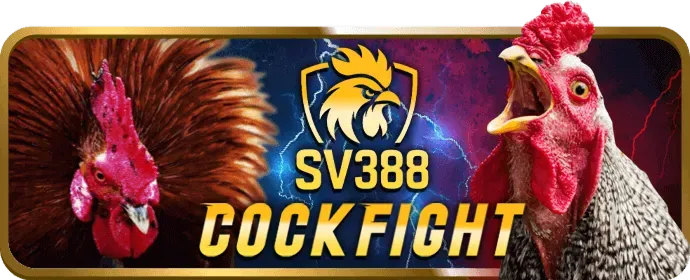 Ưu đãi chào mừng đặc biệt cho thành viên mới tại bong99 casino